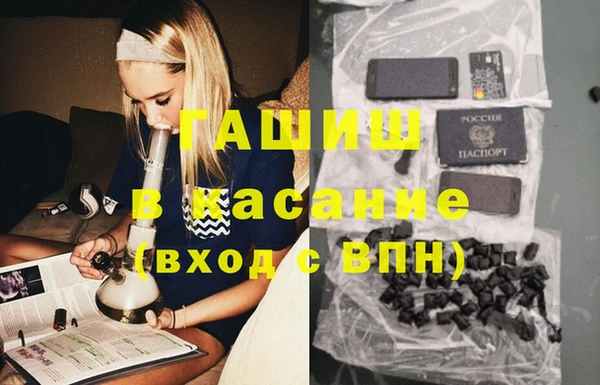 прущие грибы Алзамай