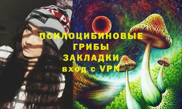 стаф Алексин