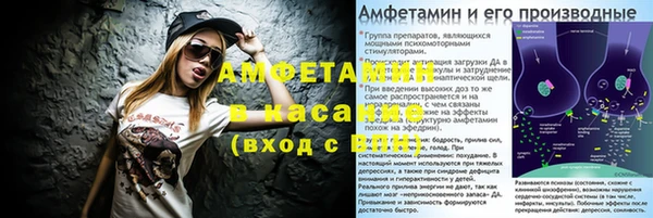 прущие грибы Алзамай