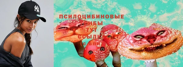 стаф Алексин